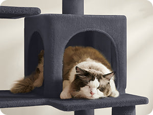 Feandrea Arbre à chat de 143 cm pour chats d’intérieur, tour multi-niveaux en peluche avec 4 poteaux à griffer, 2 plateformes d’observation et une niche confortable.