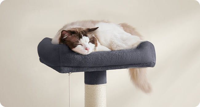 Feandrea Arbre à chat de 143 cm pour chats d’intérieur, tour multi-niveaux en peluche avec 4 poteaux à griffer, 2 plateformes d’observation et une niche confortable.