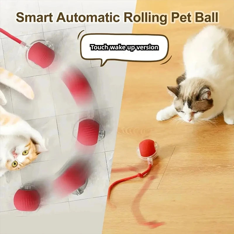 Balle Interactive Rechargeable pour Chat 🐱 – Jeu Automatique & Stimulation Active