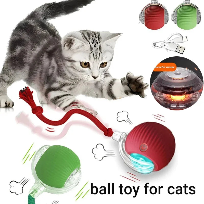 Balle Interactive Rechargeable pour Chat 🐱 – Jeu Automatique & Stimulation Active