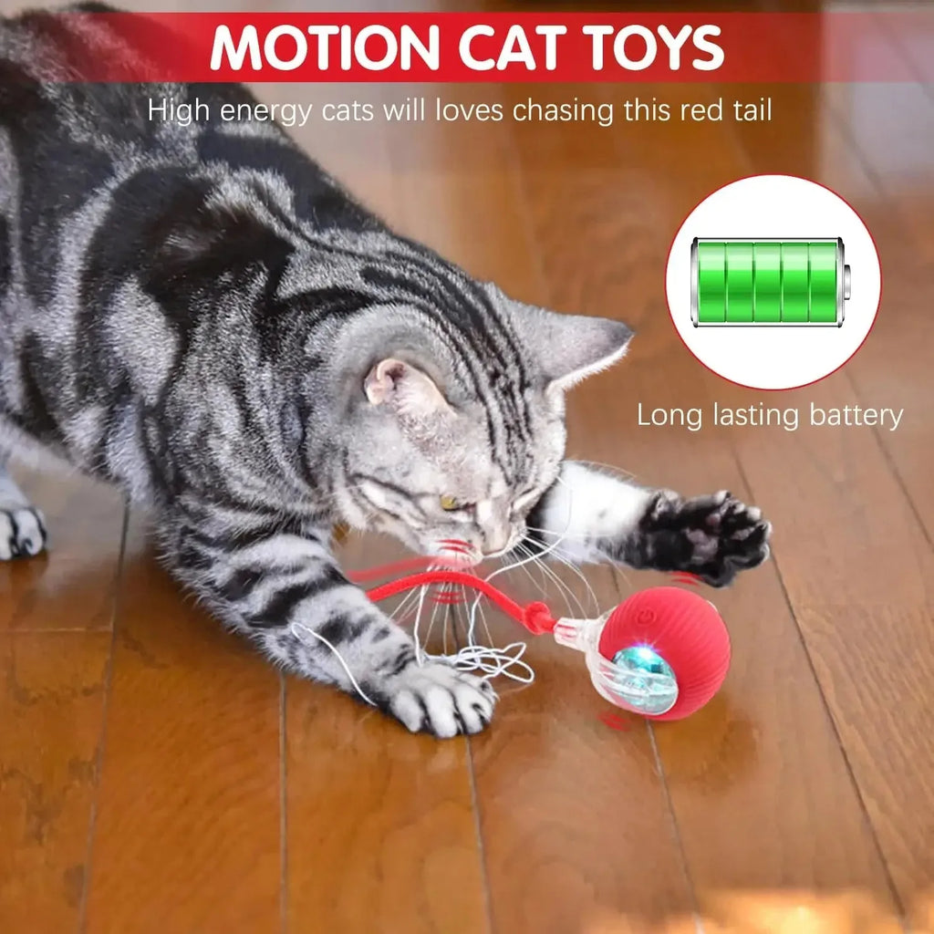 Balle Interactive Rechargeable pour Chat 🐱 – Jeu Automatique & Stimulation Active