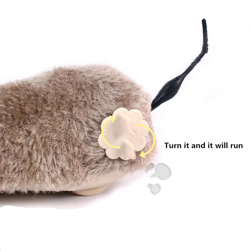 Souris en peluche réaliste Jouet de course pour chats Chiens