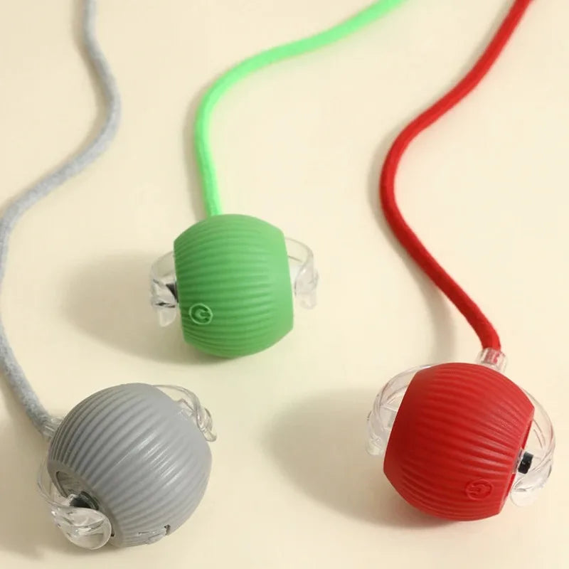 Balle Interactive Rechargeable pour Chat 🐱 – Jeu Automatique & Stimulation Active