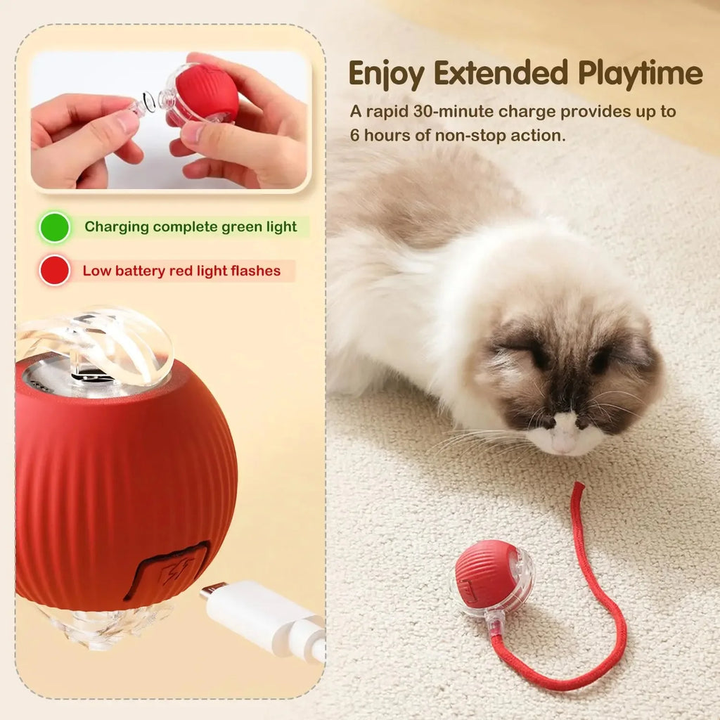 Balle Interactive Rechargeable pour Chat 🐱 – Jeu Automatique & Stimulation Active