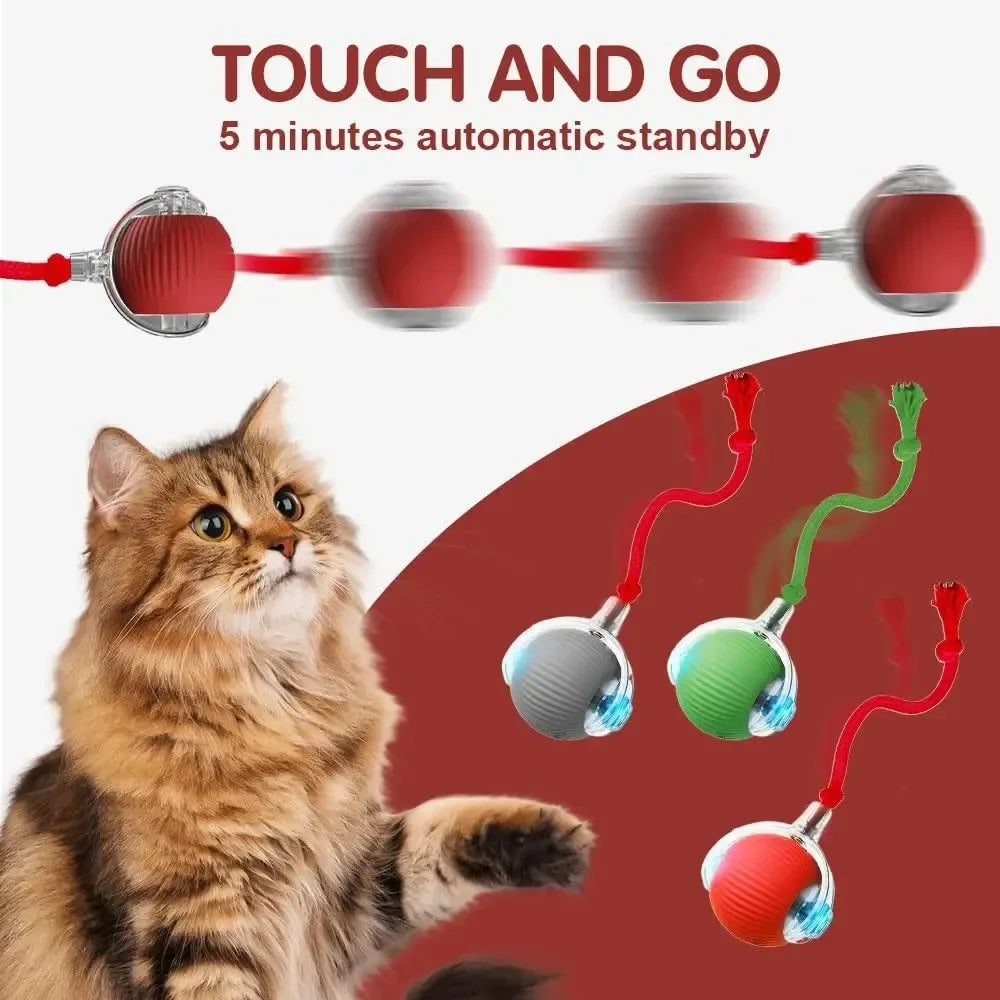 Balle Interactive Rechargeable pour Chat 🐱 – Jeu Automatique & Stimulation Active