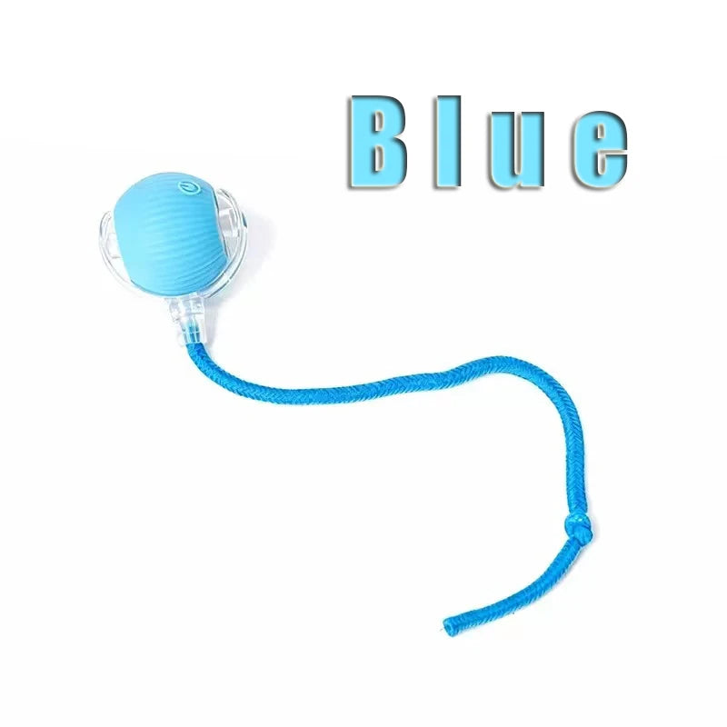 Balle Interactive Rechargeable pour Chat 🐱 – Jeu Automatique & Stimulation Active