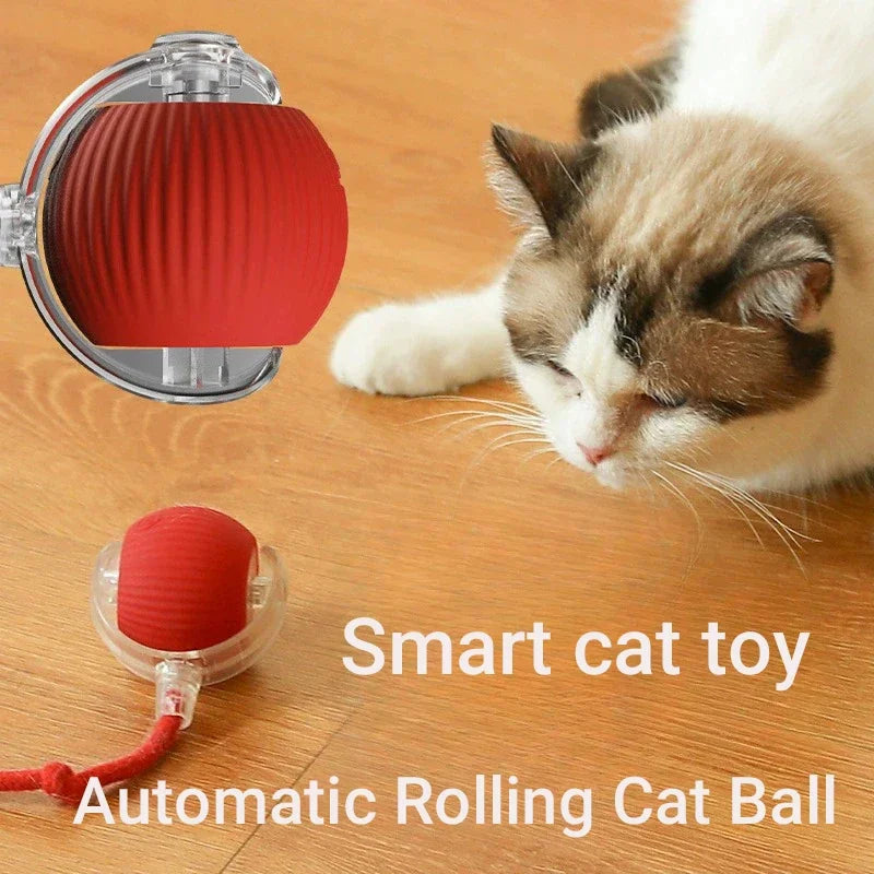 Balle Interactive Rechargeable pour Chat 🐱 – Jeu Automatique & Stimulation Active
